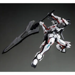 Bandai HG 1/144 Road Astray Ω Plastic Model ( OCT 2022 ) -KURAMA TOYS Sales Store 1000169011 4 89540.1642385885