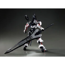 Bandai HG 1/144 Road Astray Ω Plastic Model ( OCT 2022 ) -KURAMA TOYS Sales Store 1000169011 8 19617.1642385894