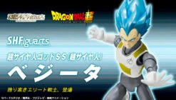 Bandai S.H.Figuarts Super Saiyan God SS Vegeta Action Figure